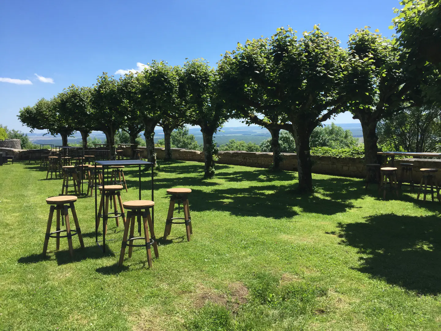 lvue ligne arbre.webp